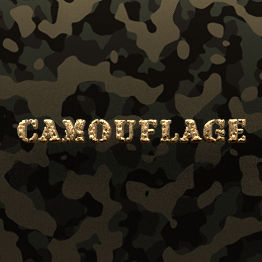 Camouflage