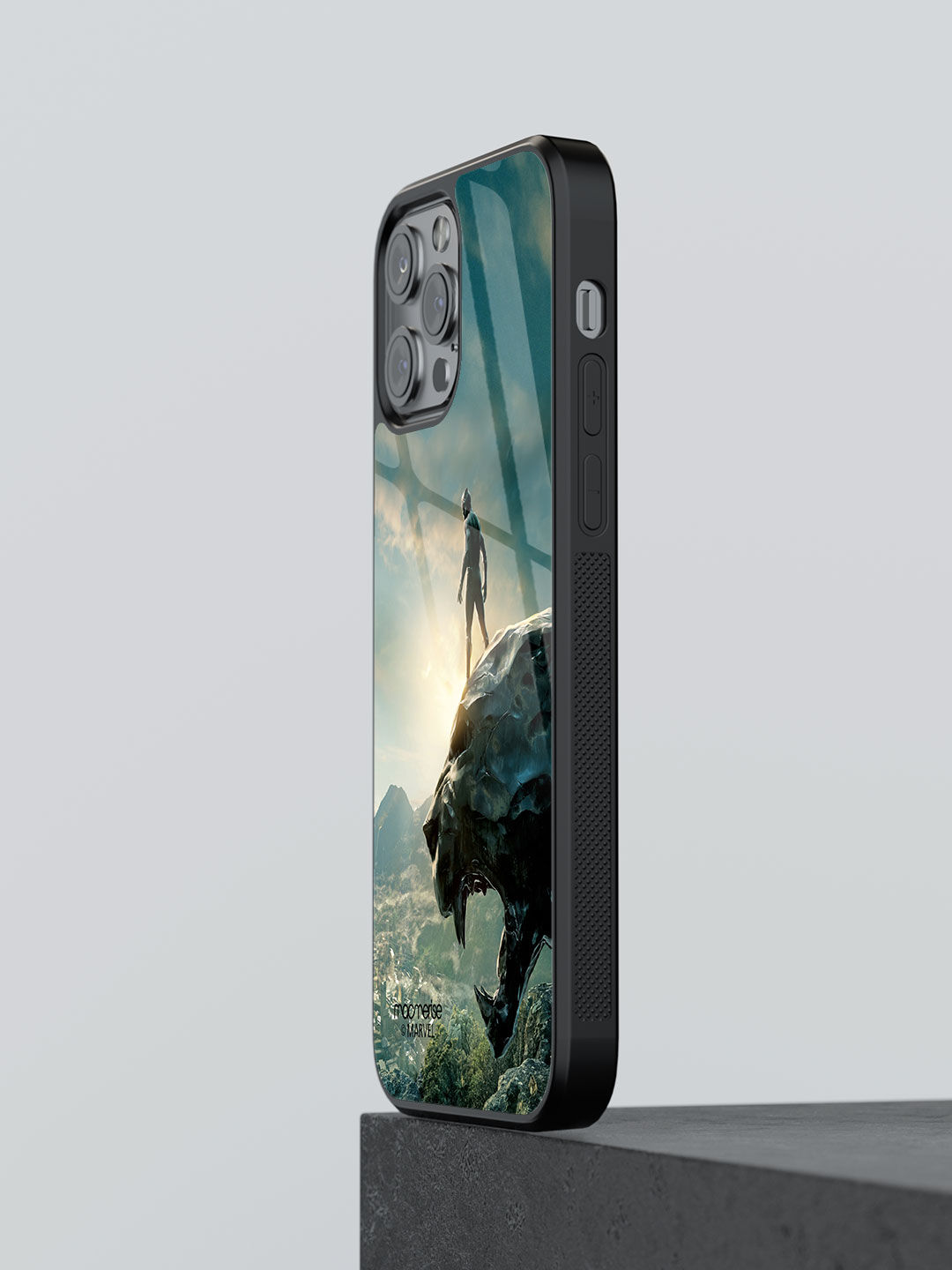 Panther Glorified - Glass Case For iPhone 13 Pro Max
