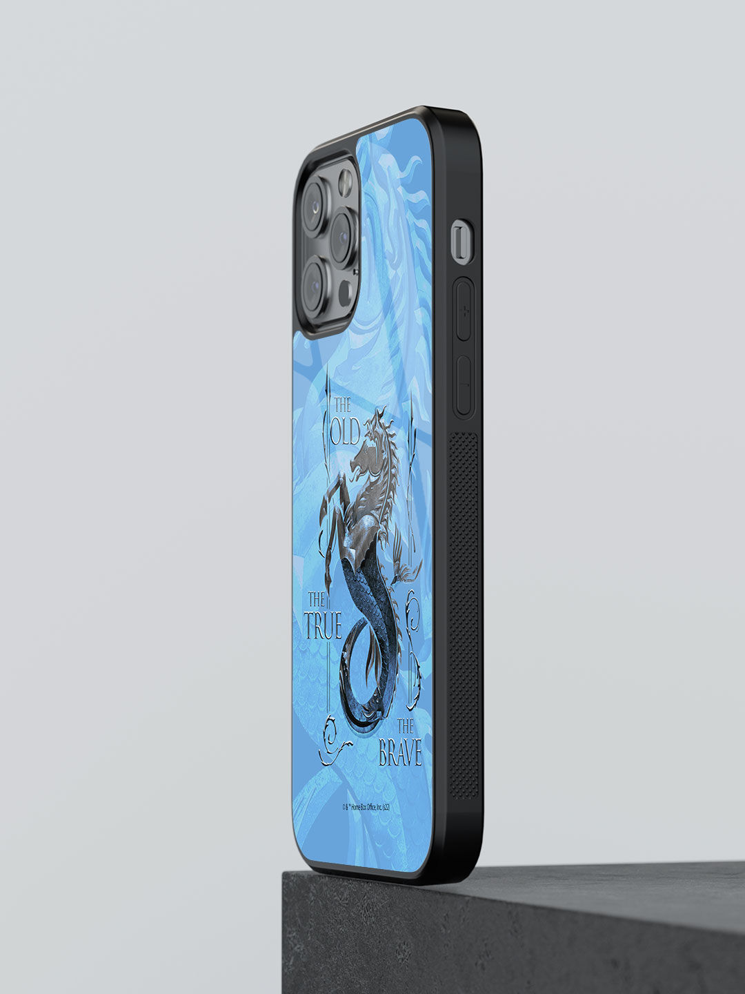 Buy HOD House Velaryon Sigil Macmerise Glass Case for iPhone 11 Pro Max  Online