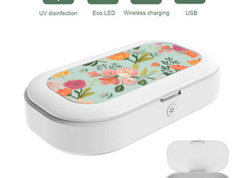 Buy Payal Singhal Aqua Handpainted Flower - Macmerise UV Sanitizer & Wireless Charger Pro  UV Sanitizers Online